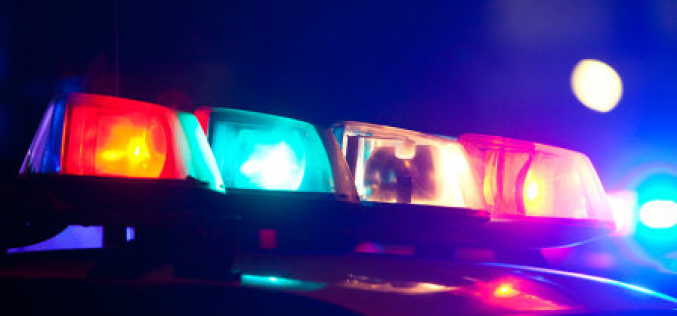 Armed felon shows up while deputies are searching home