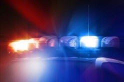 NEWS FROM NEARBY: Bestiality, Burglary Suspect Arrested