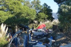 More Curfew Citations, Warnings at Albany Bulb