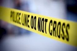 Triple Arrests in Marijuana Robberies