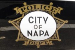 Woman Arrested in Alleged Domestic Violence Incident