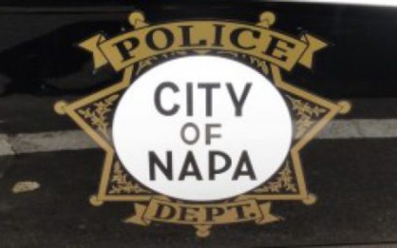 Woman Arrested in Alleged Domestic Violence Incident