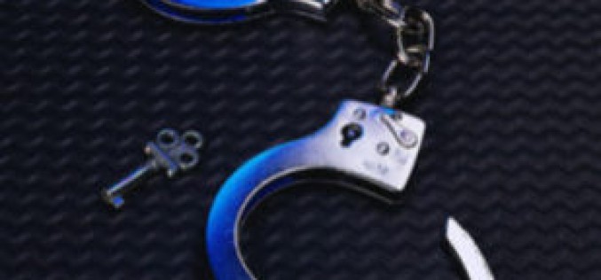 Two arrested after fleeing deputies