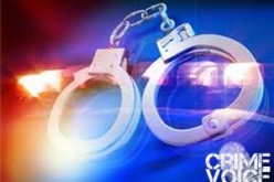 Standoff with Cops Ends with K9 Bites