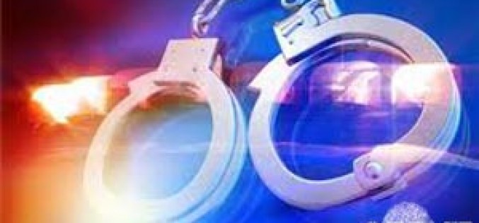 Pair arrested for carjacking, assault, robbery