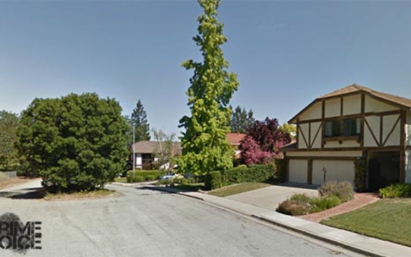 Santa Clara County Regional Auto Theft Task Force arrest car theft suspects
