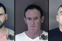 K-9 Assists in the Arrest of Three Hollister Residents