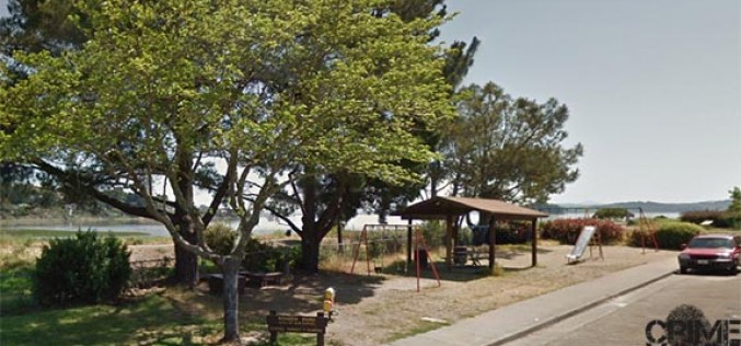 Juvenile arrested in teen shooting at local park
