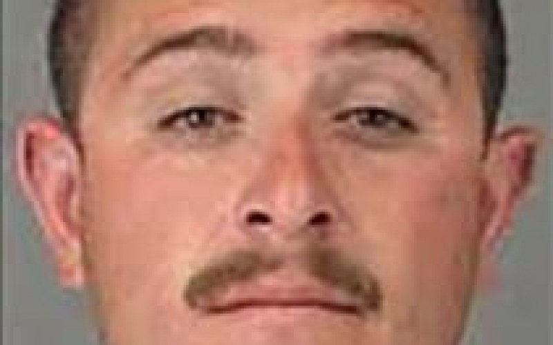 Tractor Thief Reaps What He Sows