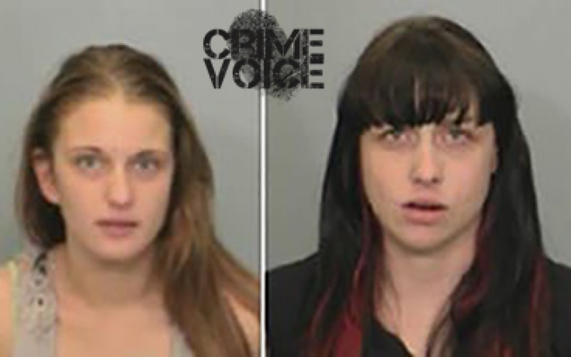 Four Arrested for Warrants