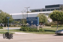 Was Air Force Man Flying High?