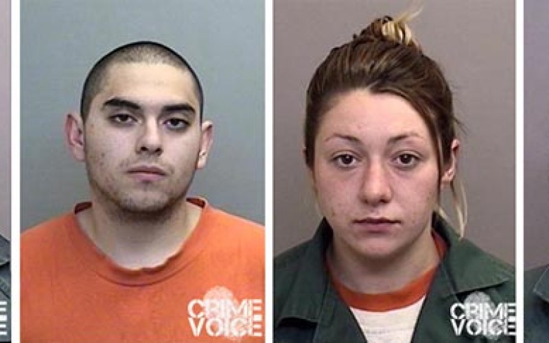 Assault with a deadly sprinkler gets four arrested