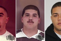 Hollister Police Arrest Two In Connection To Shooting
