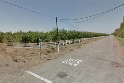 5 Arrested During Cockfight Raid