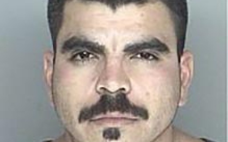 Felon Caught with Drugs & Ammo