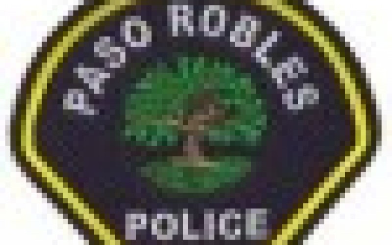 Domestic Dispute Ends in Vehicle Rollover, Arrest, Injury