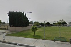 15 Year Old’s Unexpected Death