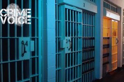POLICE ARREST JUVENILE AFTER HIGH-SPEED PURSUIT