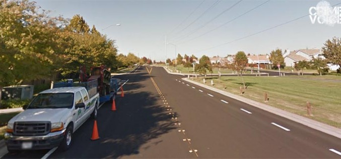 Two Suspects Arrested for Landscape Maintenance Theft