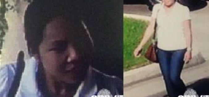 Credit Card Thief