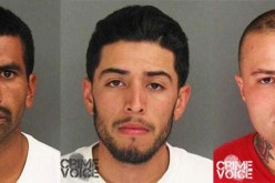 Watsonville Police Finally Get Their Man