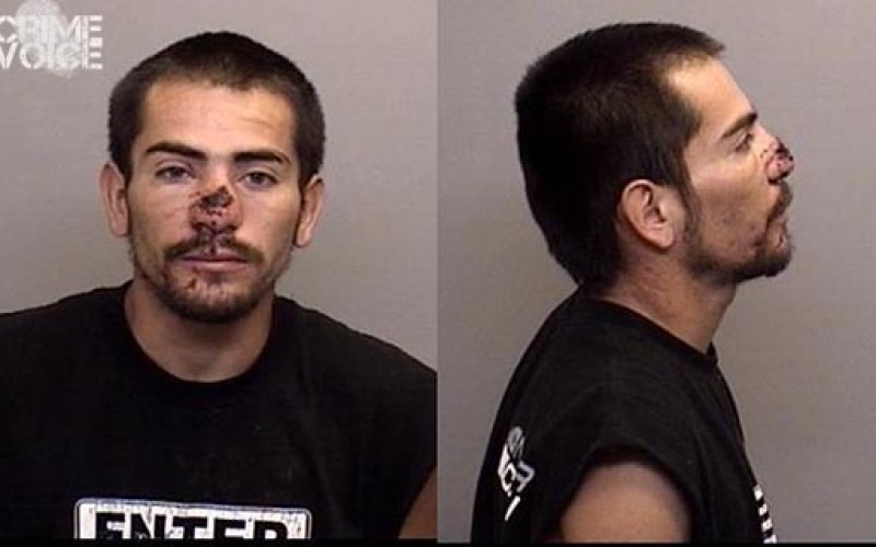 Busy car thief arrested once again