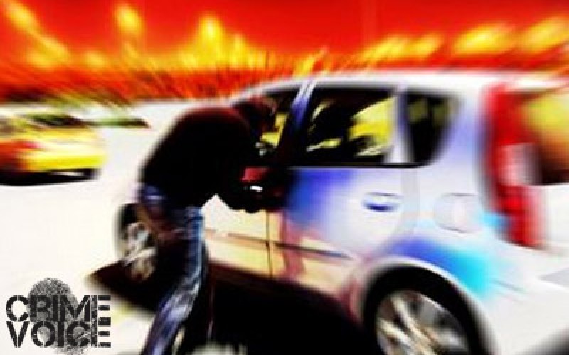 BB-gun Toting Carjacker Shot by Cops and Arrested