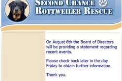 Davis Rottweiler Rescuer Denies Neglect Allegations, Wants Dogs Back