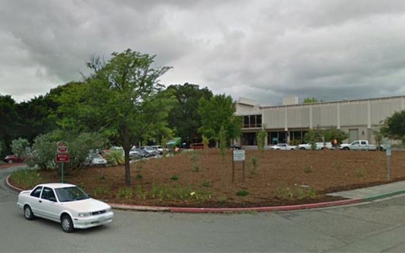 Covert Cops In Court Cuff Driver Advised Not to Drive