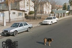 Two People Arrested for Leaving Two Small Children Alone