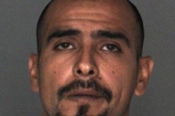 Teen Likely Killed Over Stealing Marijuana Plants