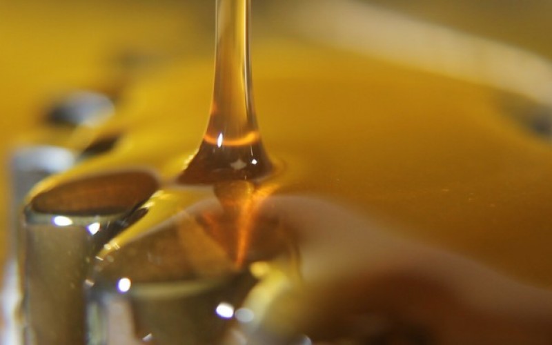 MAN ARRESTED AFTER BUTANE HONEY OIL LAB EXPLOSION