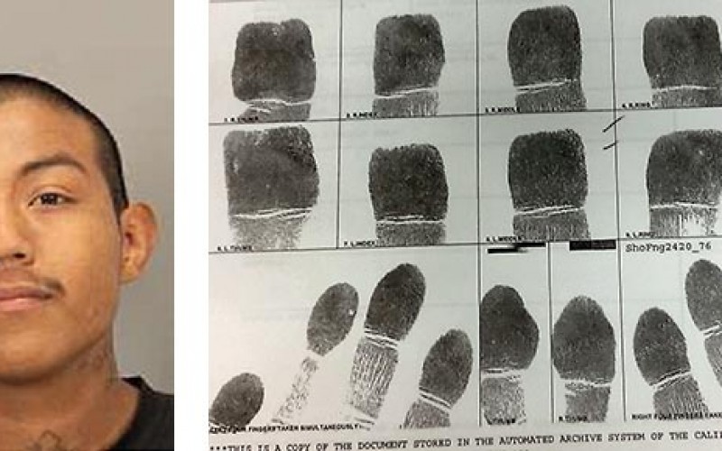 Murder suspect to face auto theft charges
