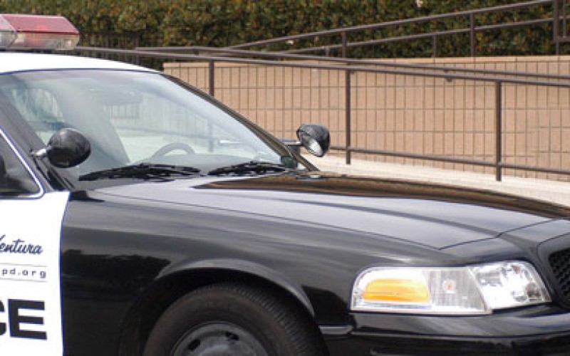 Car Thief Drives, Runs, Swims…and is Busted