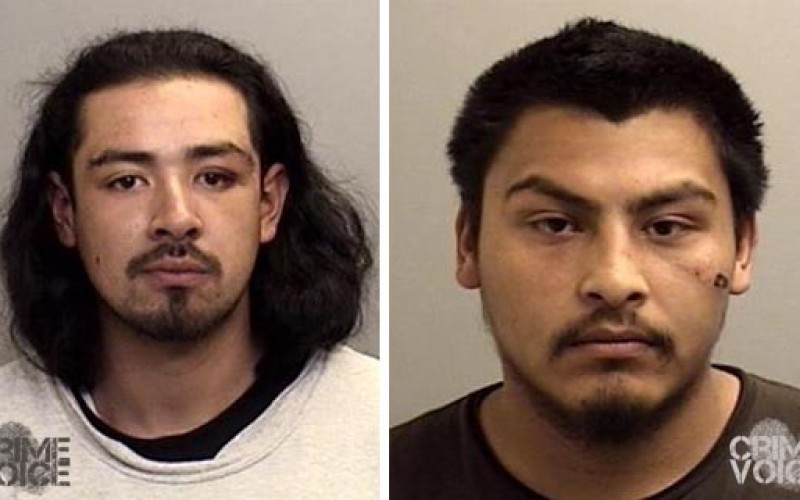 Two arrested in birthday party fight