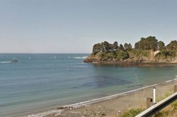 Unorthodox domestic violence case in the north coast