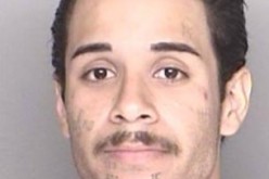 Baby on Board as Stolen Van Flips in High-speed Chase