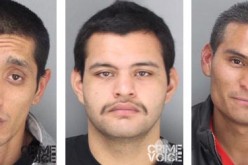 Drug Raid Nets Nine