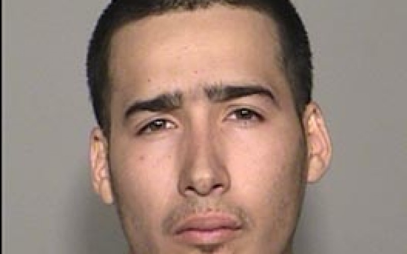 Five Arrested During Investigation of New Gang and Vandalism