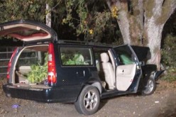 Home Invader Crashes While Evading Arrest