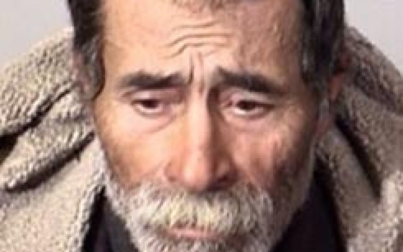 Holiday Season Mail Thief Caught