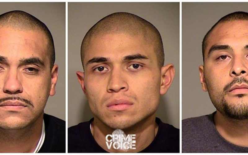 Christmas Burglary Ring Broken