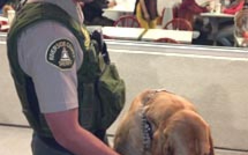 K-9 Unit Pup Tracks Down Her First Suspect A Cabazon Prowler