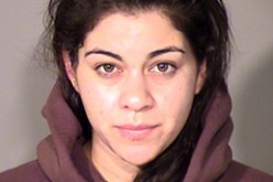 Multi-National Police Work Runs Child Stealing Suspect to Ground