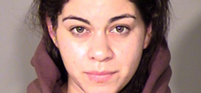 Multi-National Police Work Runs Child Stealing Suspect to Ground