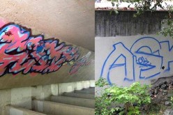 ASK Tagger arrested