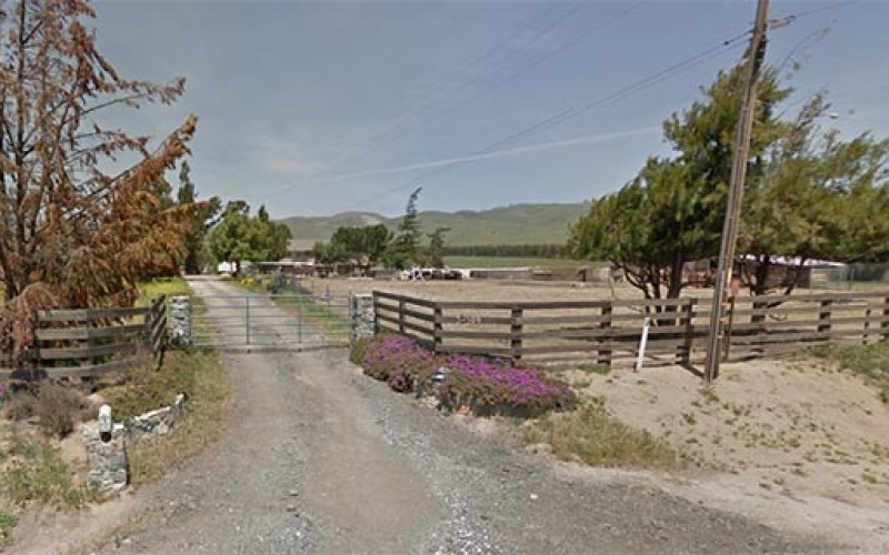 42 People Detained For Attending a Cockfight