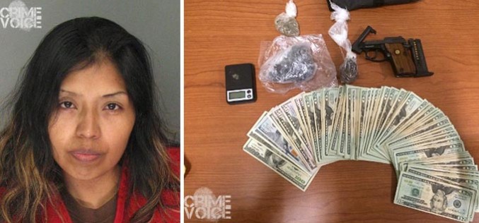 Full time Mom, part time drug trafficker