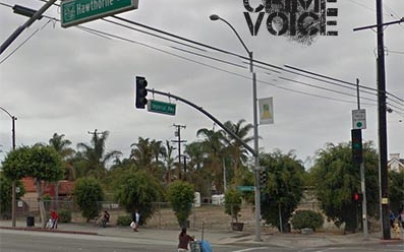 Inglewood Woman Arrested for a Smorgasbord of Charges