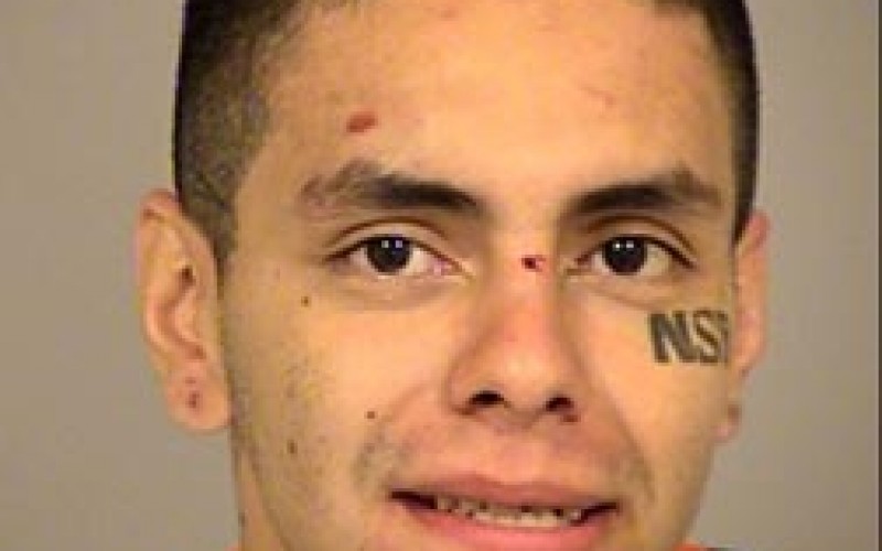 Wild Car Chase End in Arrest